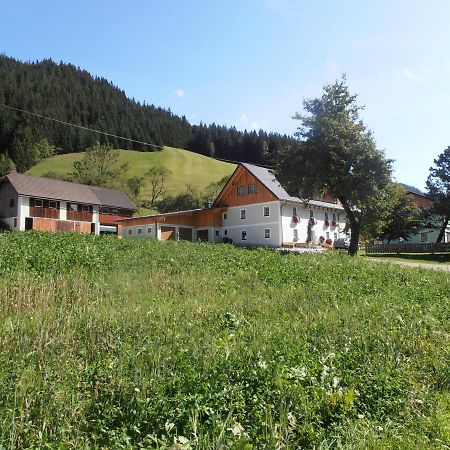 Villa Huberbauer à Johnsbach Extérieur photo