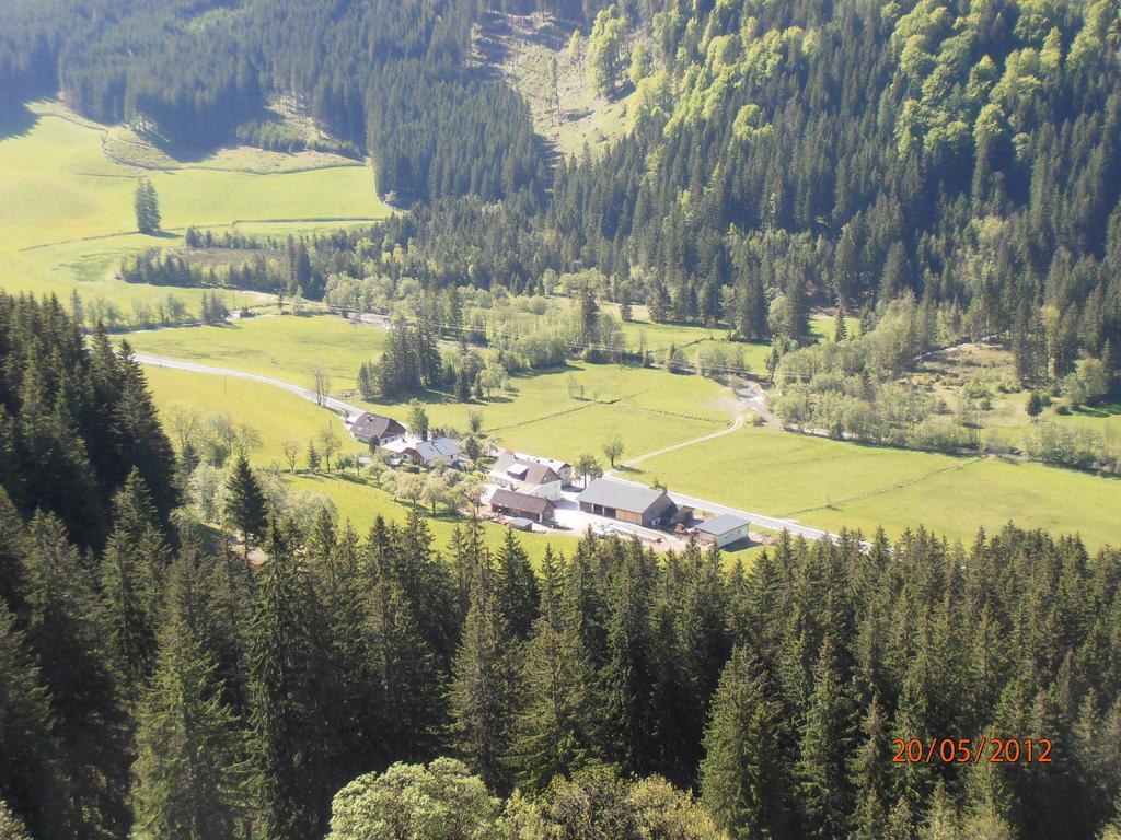 Villa Huberbauer à Johnsbach Chambre photo