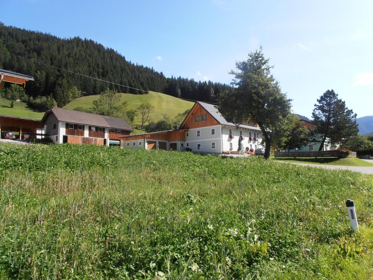 Villa Huberbauer à Johnsbach Extérieur photo