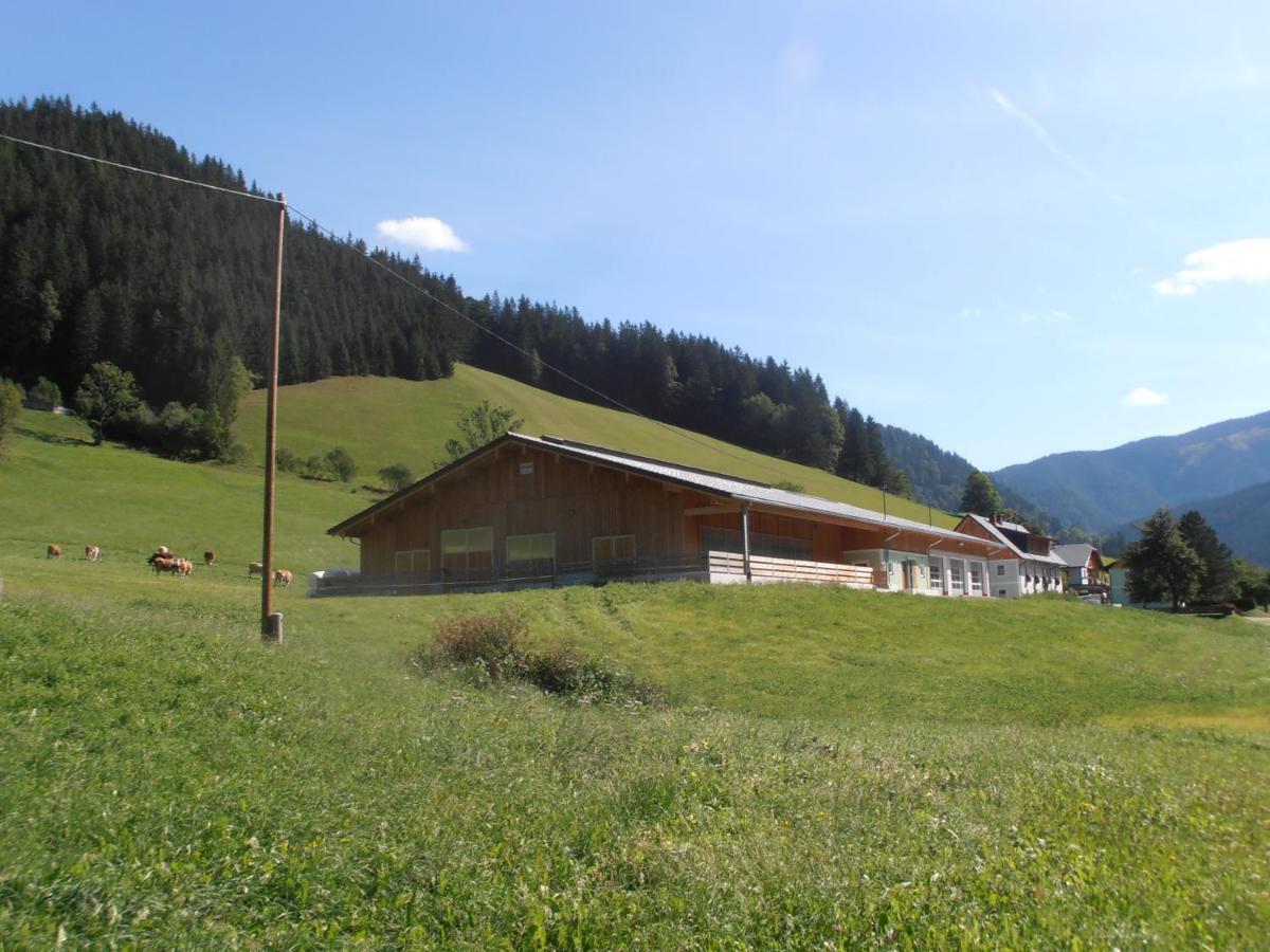 Villa Huberbauer à Johnsbach Extérieur photo