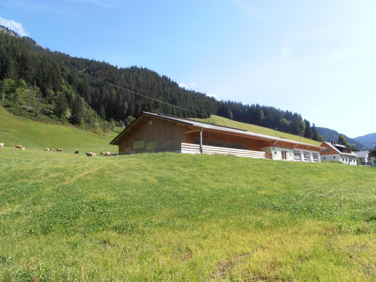 Villa Huberbauer à Johnsbach Extérieur photo